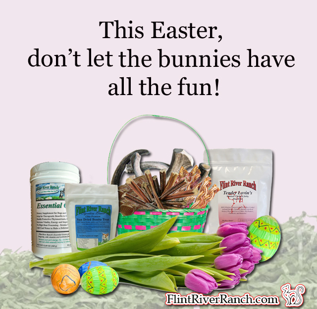 Dont_Let_The_Bunnies_Have_All_The_Fun